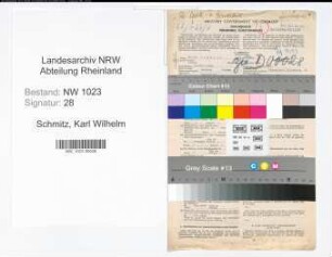 Entnazifizierung Karl Wilhelm Schmitz , geb. 30.08.1905 (Bankrevisor)
