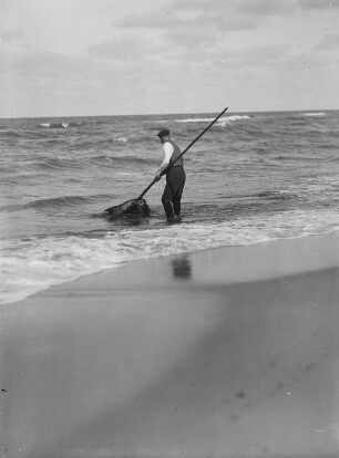 Bernsteinsucher : Ein Bernsteinsucher mit Kescher am Strand der Ostsee auf Samland.