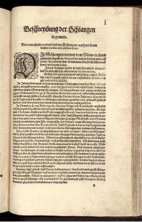 Beschreybung der Schlangen in gemein.