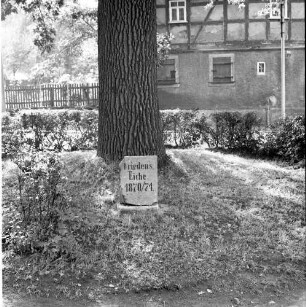 Friedenseiche. Gedenkstein mit Inschrift "Friedenseiche 1870/71". Chemnitz-Rabenstein, bei der Pfarrkirche St. Georg