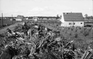 Nierswalde: Siedlung, Vordergrund gerodete Wurzelberge