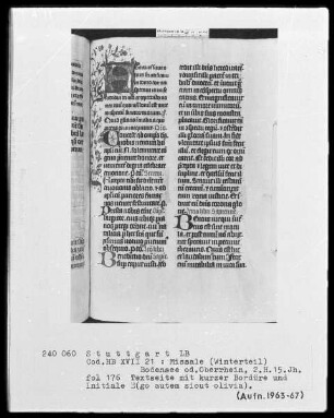 Missale (Winterteil) — Initiale E(go autem sicut olivia), Folio 176recto