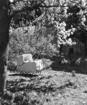 Frühlingssonne im Garten