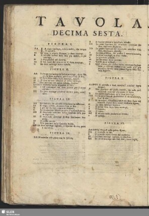 Tavola Decima Sesta