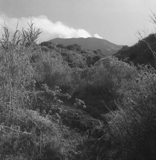 Aufstieg zum Stromboli, Blick zum Vulkan