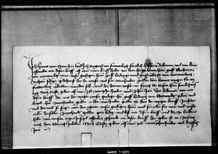 Hans von Stammheim und Margret von Frauenberg, seine Frau, quittieren über 200 fl. von 400 fl., die ihnen Graf Eberhard III. am 16. Mai 1410 von des Baus an Frauenberg wegen verschrieben hat.