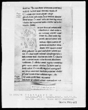 Bibel — Initiale E (cce eciit seminans), Folio 29 verso