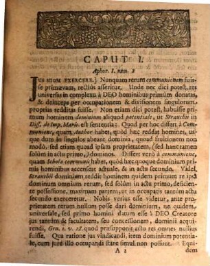 Analecta ex Discursibus academicis Nicolai Christophori Lynckeri ad G. A. Struvii Syntagma iuris feudalis