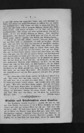 Einsicht und Pünktlichkeit eines Hundes.
