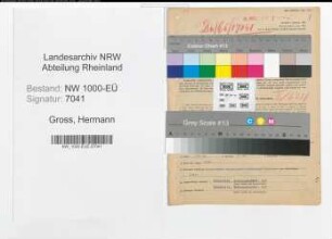 Entnazifizierung Hermann Gross, geb. 13.07.1898 (Verw.Oberinspektor)