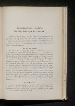 Achtunddreißigster Abschnitt. Sonstige Bildungen der Epidermis.