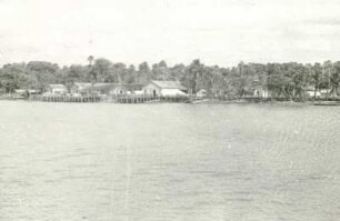 Reisefotos. Kleiner Küstenort unter Palmen (vielleicht in der Karibik)