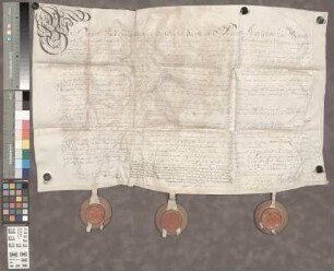 Eich: Vertrag zwischen dem St. Paulsstift zu Worms und der Gemeinde Eich über die Anlage eines Kanals vom Rhein zum Eicher Altrhein.