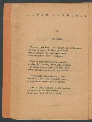 IX - El buey
