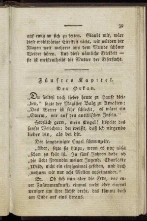 Fünftes Kapitel. Der Orkan.