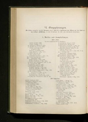 VI. Gruppierungen