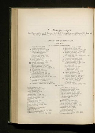 VI. Gruppierungen