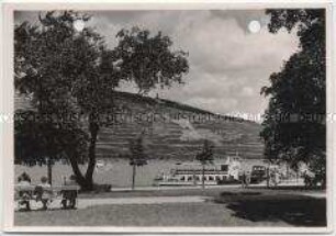 Bingen am Rhein, Blick auf das Niederwalddenkmal