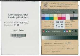 Entnazifizierung Peter Metz , geb. 21.03.1900 (Kaufmann)