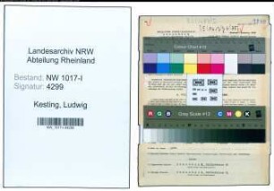 Entnazifizierung Ludwig Kesting , geb. 25.03.1889 (Brandmeister)