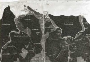 Wälder um Burkhardtsgrün (Kreis Aue) "Einige Wälder um Schwarzenberg" : Wälder um Burkhardtsgrün (Kreis Aue) "Einige Wälder um Schwarzenberg" (1: 6666, Süden oben). Kartengemälde auf Pergament; 86 x 108 cm (1582; M. Öder). Ausschnitt: Zwickauer Muldebögen bei Blauenthal. Dresden: Hauptstaatsarchiv Dresden I, 2, 12