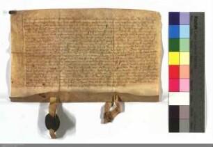 Groppe v. Fleckenbühl gen. v. Birgeln verkauft dem Cort Weyse, Bürger zu Marburg, die Schonkenwiese und verschiedene Äcker für 48 rhein. Gulden.