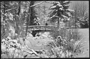 Großschweidnitz. Landesanstalt, Parkpartie im Winter