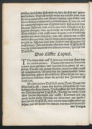 Das Eilffte Capitel.