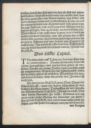 Das Eilffte Capitel.
