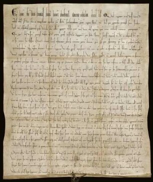 Kaiser Heinrich VI. bestätigt den Besitz und verschiedene, näher beschriebene Rechte des Benediktinerklosters Weingarten.
