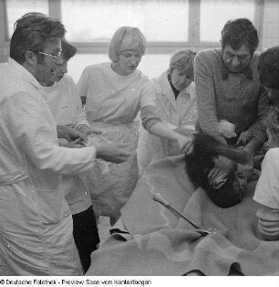 Tierklinik