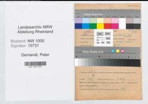 Entnazifizierung Peter Demandt, geb. 15.12.1921 (Schlosser)