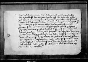 Gottfried von Zimmern Frei quittiert über 40 fl., die Graf Ludwig I. seinem Bruder Wernher für zwei abgegangene Pferde schuldig geworden ist.
