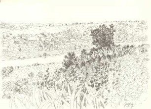 Blick vom Weinberg zur Elbe II