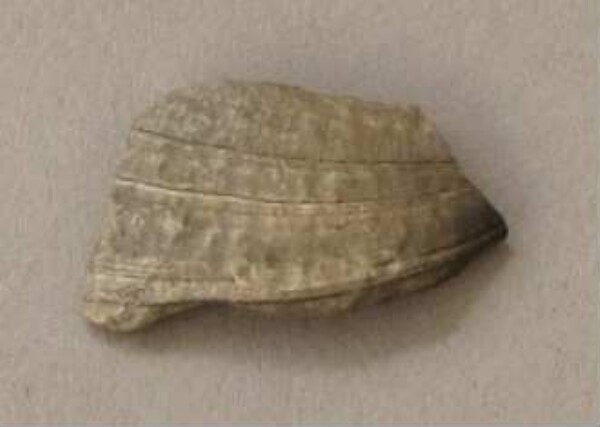 Shell