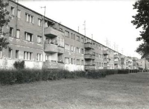 Dresden-Trachau. Wohnsiedlung der Gewobag (1928/um 1935; H. Richter). Wohnzeile, Fraunhoferstraße 17/1. Gartenansicht