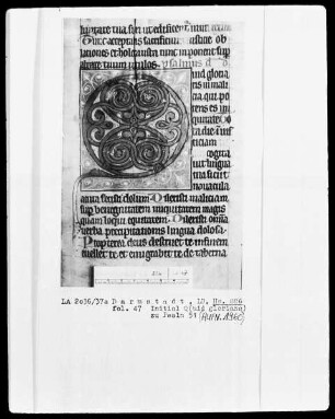 Psalterium — Initiale Q (uid glorians), Folio 47 recto