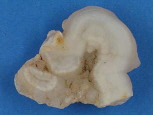 Chalcedon