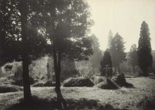 Alter Friedhof