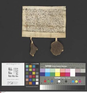 Seligenstadt: Th. abbatis in Selgenstadt recognitio quod Beatrix et Reinheidis due matrone opidane in Selgenstadt redditus unius marce perpetue ce...