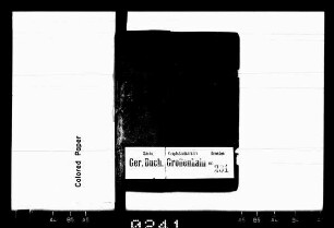 Gerichtshandelsbuch von Strießen