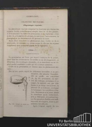 Titre 1er. Germination.