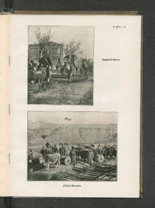 Tafel 14. Kamel=Kolonne. und Ochsen=Kolonne.