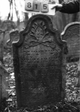 Grabstein 815 (Index: 99751488) Material: Sandstein Zustand: leicht verwittert mit Textverlust Maße HxBxT: 112x59x11 cm Beschreibung: Stele, geschwungen eingezogener Rundbogenabschluß, Schriftfeld eingetieft Symbolik: Ranken, Blüten: Grabstein 815