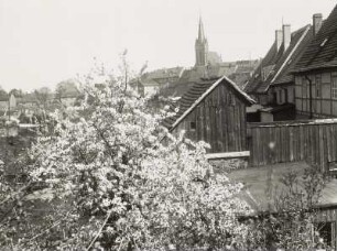 Leisnig : Leisnig. Ortsteilansicht mit Stadtkirche und blühendem Kirschbaum
