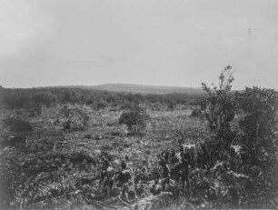 Landschaft : Blick über eine Landschaft. Im Vordergrund laufen einige Männer