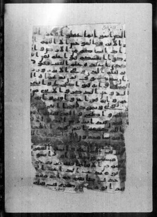 al- Qurʾān [DAM 00-00.19]