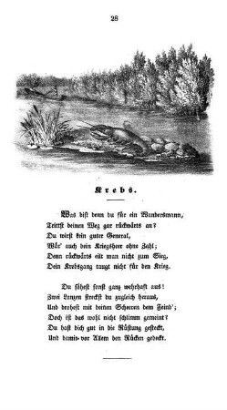 Krebs.