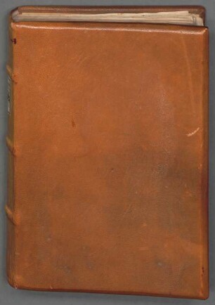 Heinrich von Langenstein. Heinrich von St. Gallen u.a. - BSB Cgm 7956