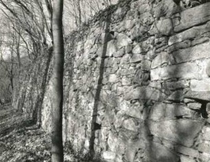 Radebeul, Augustusweg 110. Park der Villa "Jägerberg". Mauer eines ehemaligen Weinberges